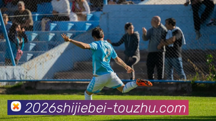 2026世界杯投注平台生态图